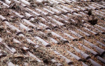 Ferindonald roof cleaning companies