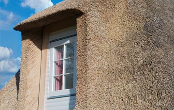 Ferindonald thatch roof disadvantages