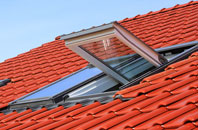 Ferindonald roof window